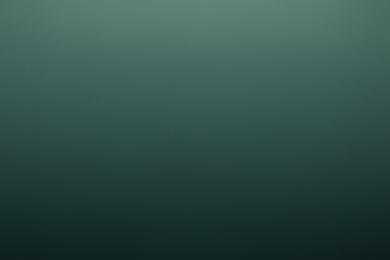 no trees just a foggy blue color with some snowy vibe